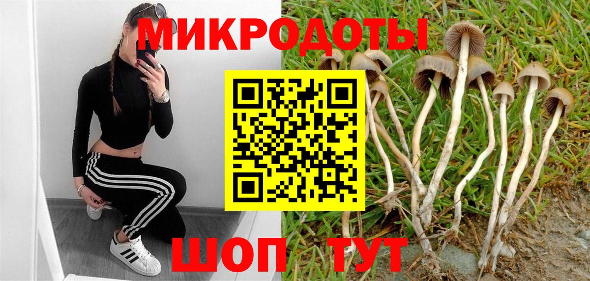 Псилоцибиновые грибы Cubensis  Вход с VPN  Гудермес  Псилоцибиновые грибы Psilocybine cubensis 