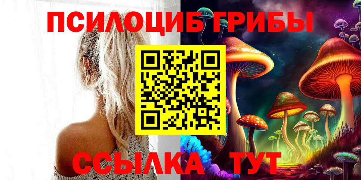 Псилоцибиновые грибы Magic Shrooms Гудермес